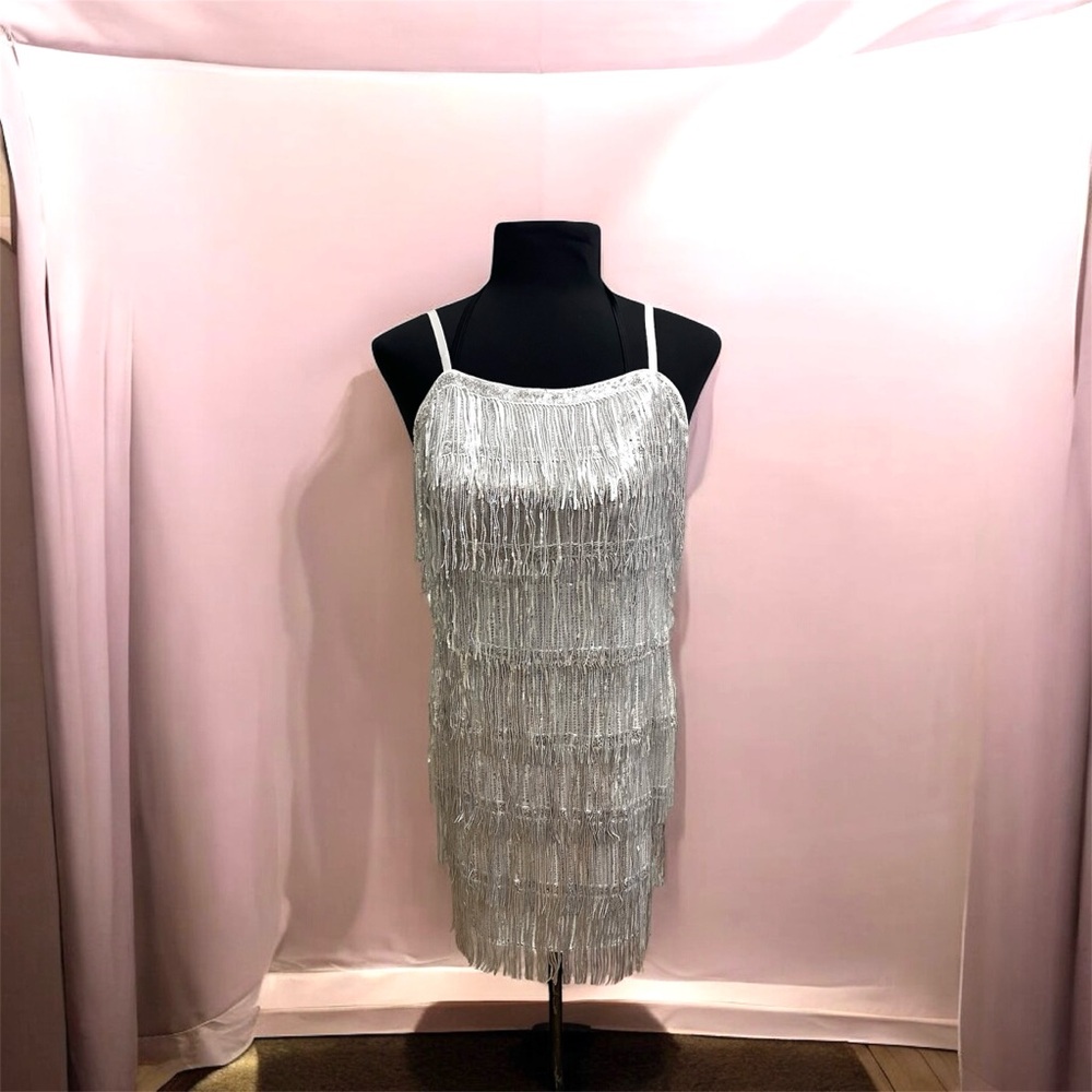 Elegant Silver Fringe Dress